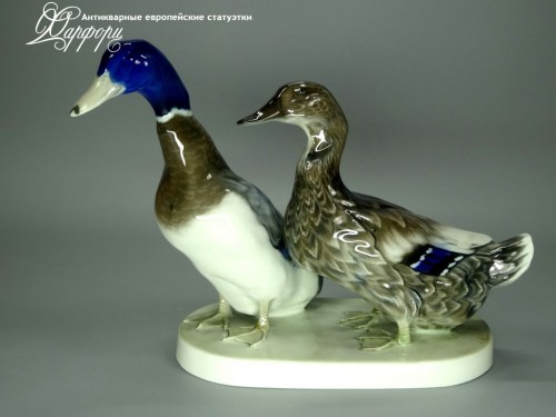 Купить фарфоровые статуэтки Rosenthal, Пара уток, Германия